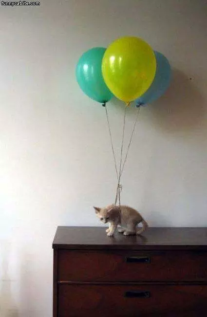 Air Balloon