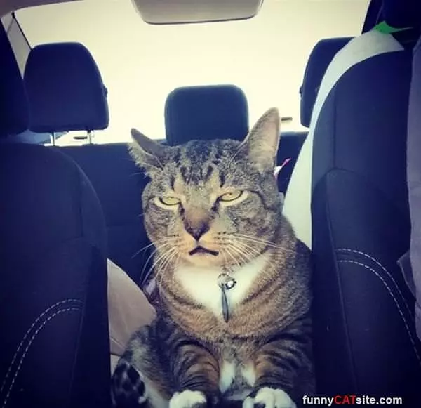 Booooring