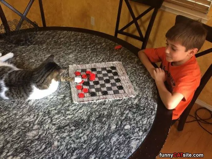 Playing Some Checkers