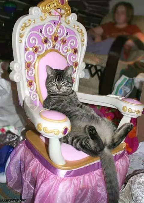 I Are King