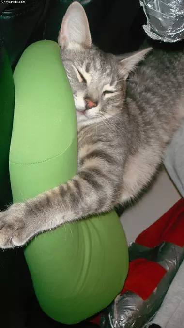 Napoleon Sleeping