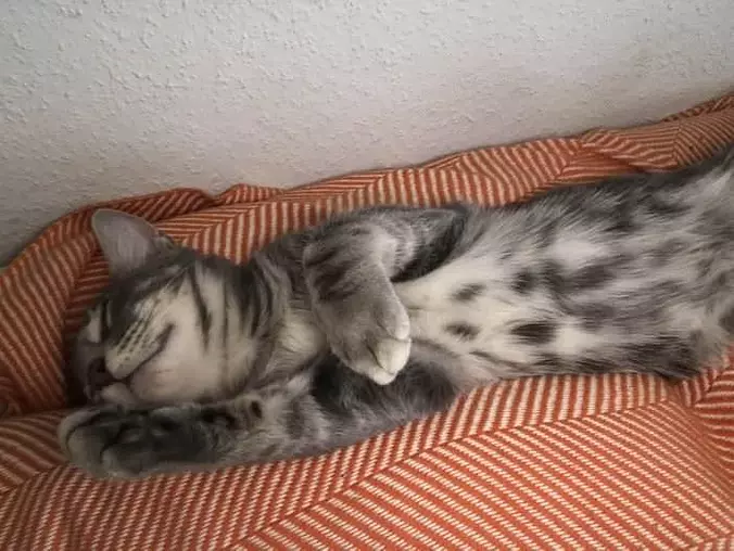 Really Relaxing Here