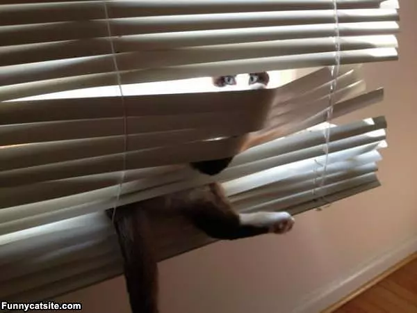 I See You There