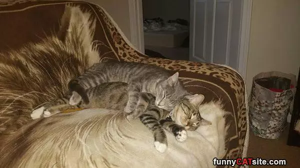Staying Warm