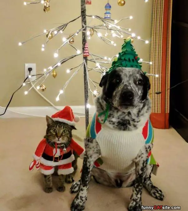 Looking A Lot Like Christmas
