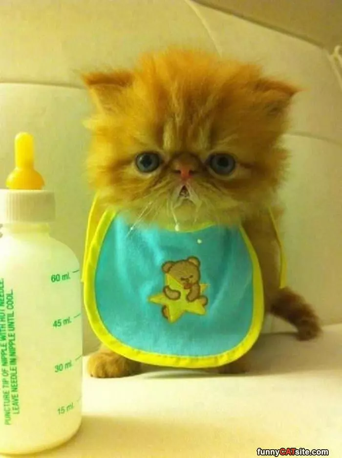 My Grrrrr Face