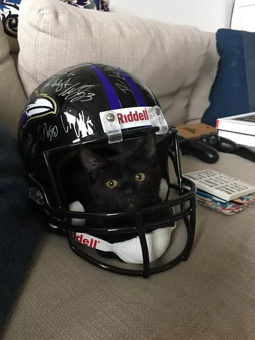 Ready For Some Football