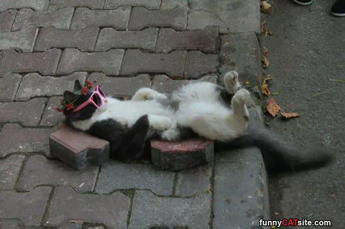 Chillaxin