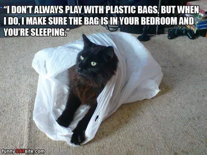 Playing With Plastic Bags