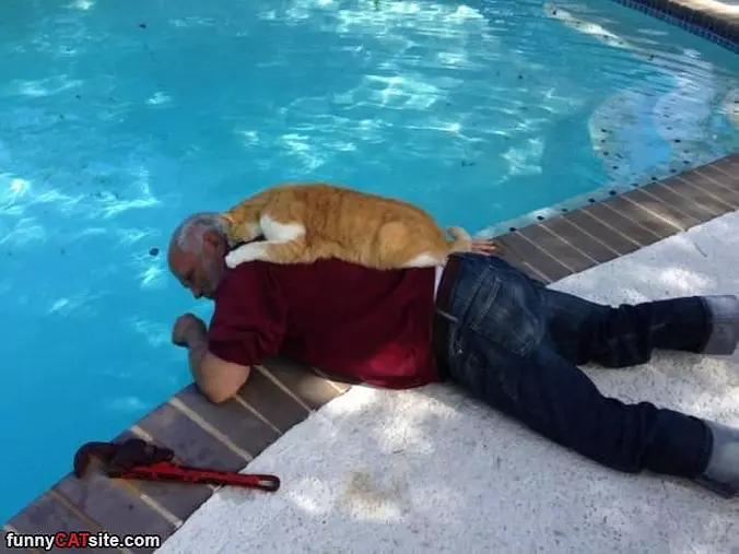 I Will Help You Human
