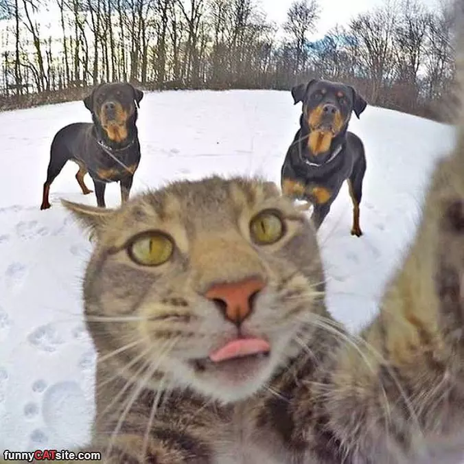 Let Me Get A Selfie