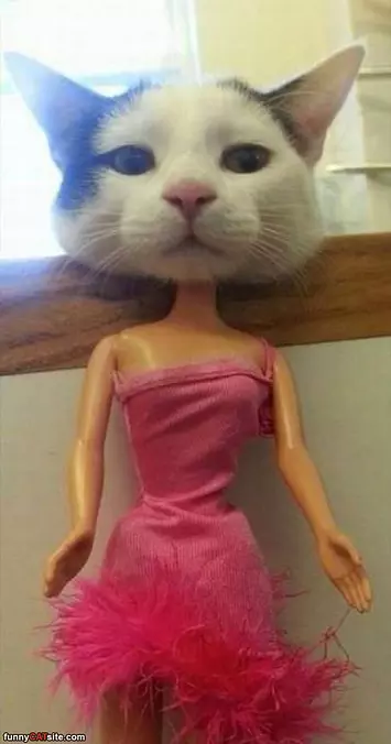 I Am A Barbie