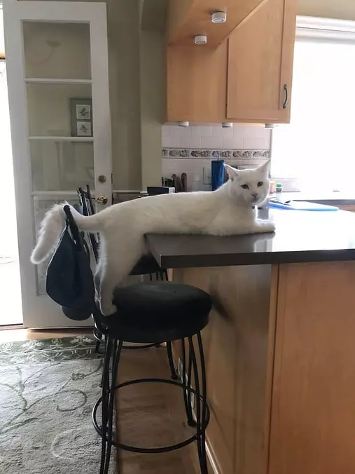 Can You Give Me Breakfast