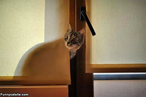 Whats Going On Out Here