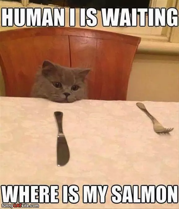 I Am Waiting