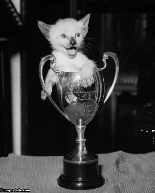 I The Prize