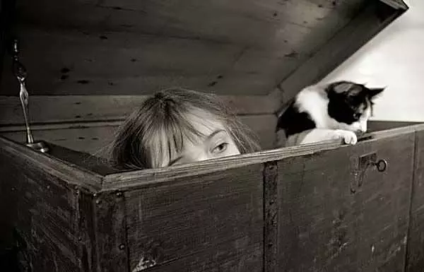 In The Box Playing