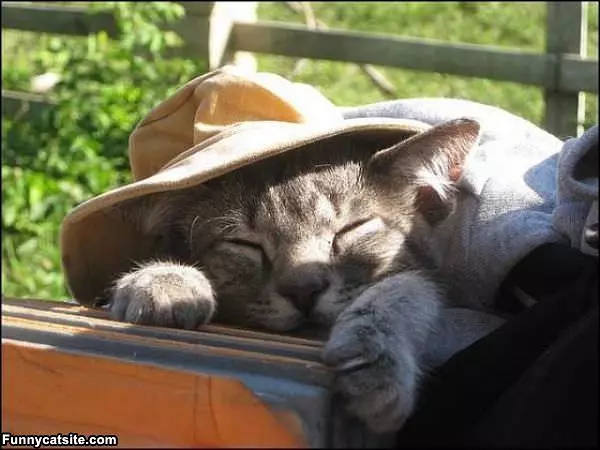 Mah Sleeping Hat