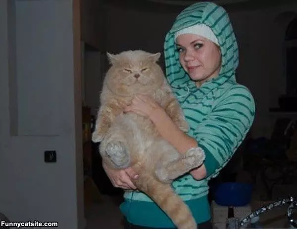 Super Huge Cat