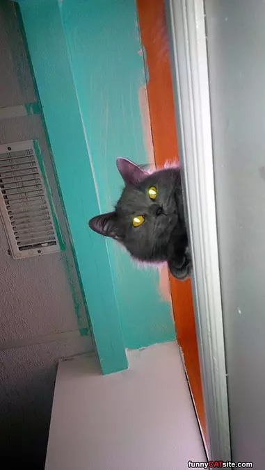 Hey