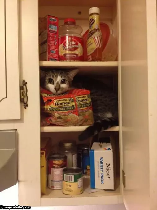 I Want Ramen