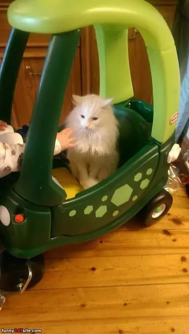 I Am In The Car