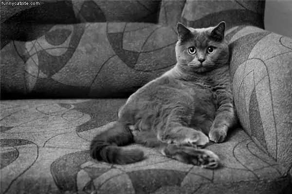 Chillaxed