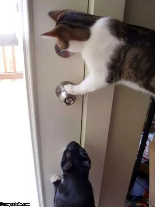 Lets Get Out Of Here