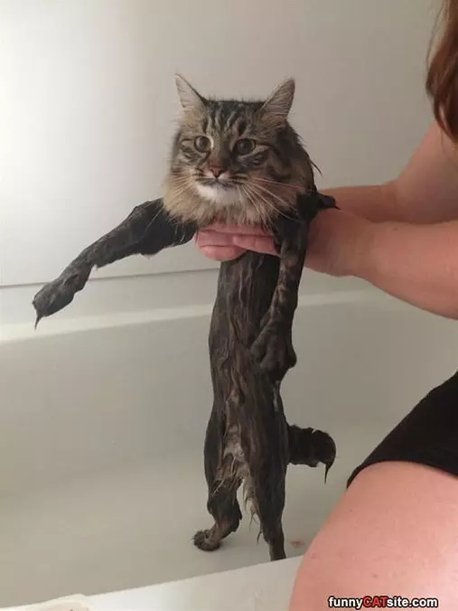 I Am Soaking