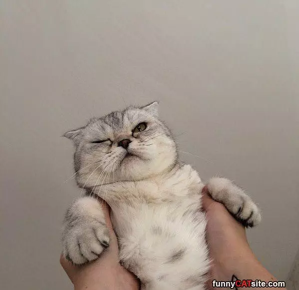 Let Go Of Me Already