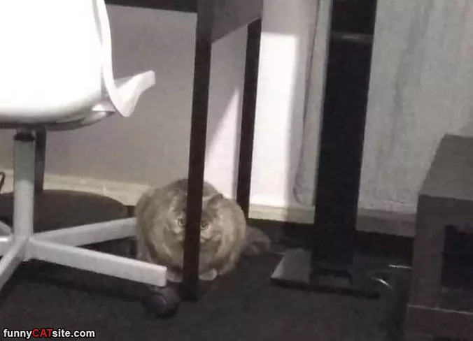 Nobody Can See Me Here