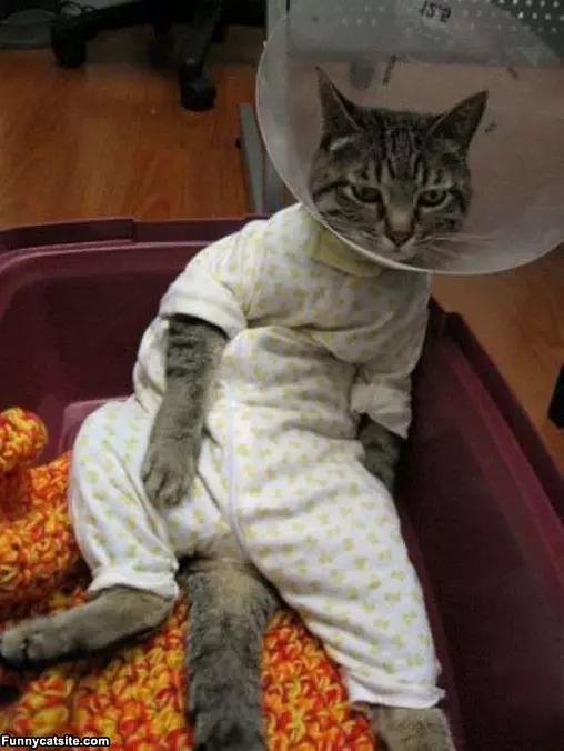 Not My Best Day