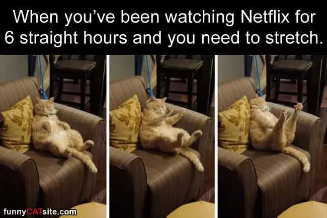 Need To Stretch
