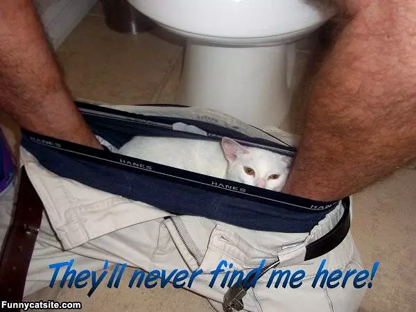 Never Find Me Here