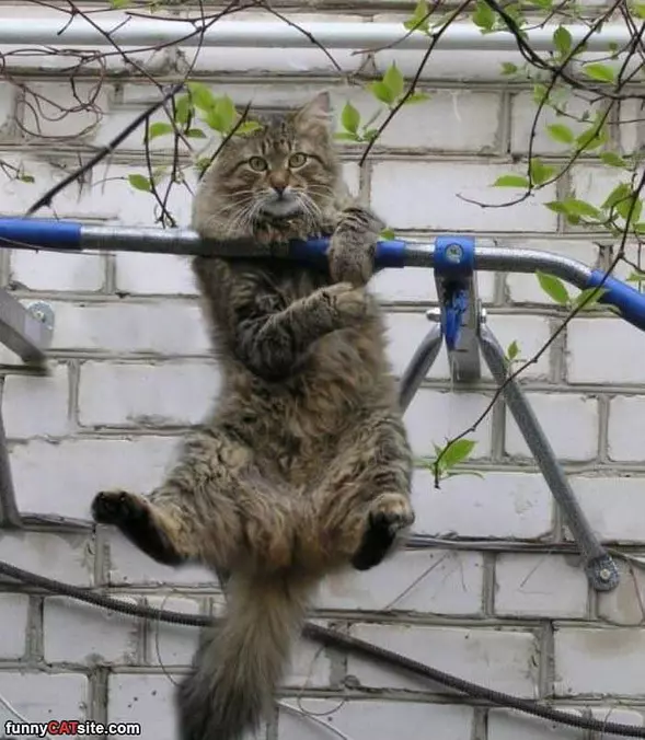 Doing Some Climbing