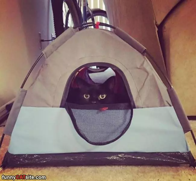 Doing Some Camping
