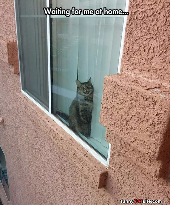 Waiting For Me At Home