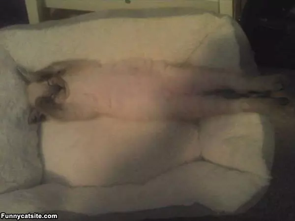 I Sleep How I Want