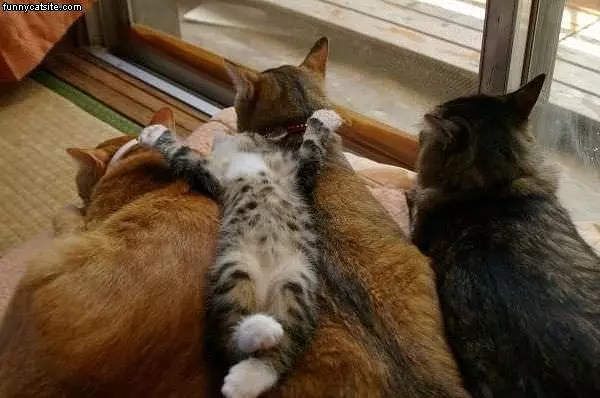 Just Chillin