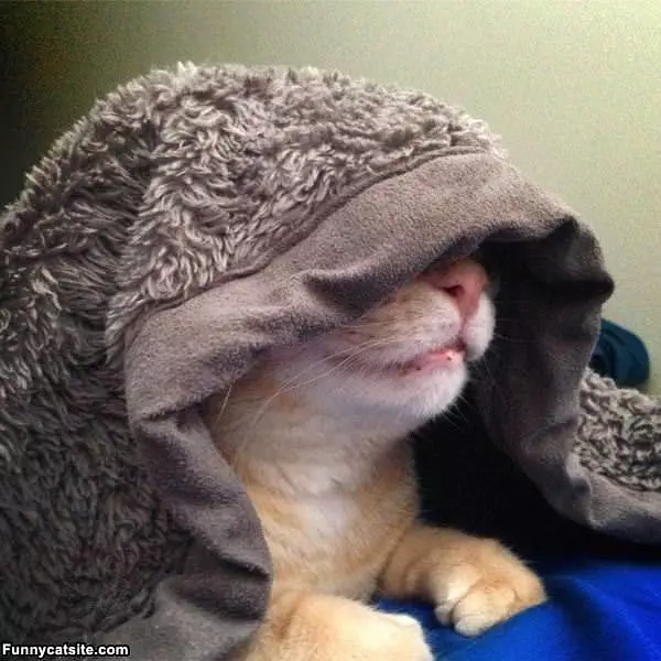 But I Dont Wanna Wake Up