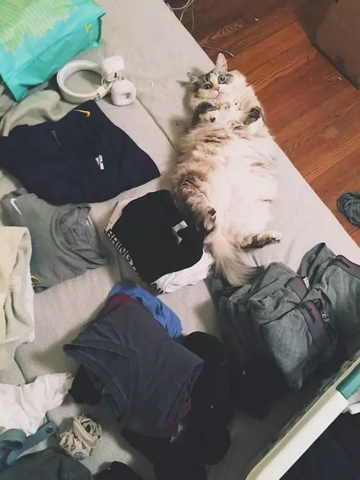 Can You Pack Me Next