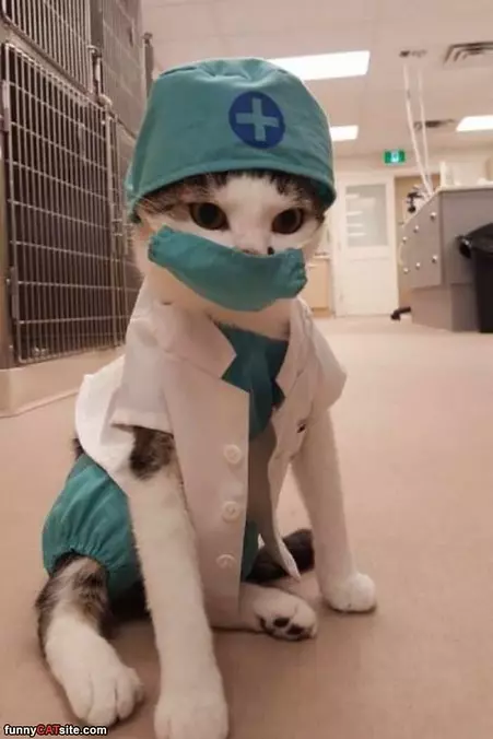 The Dr Is In
