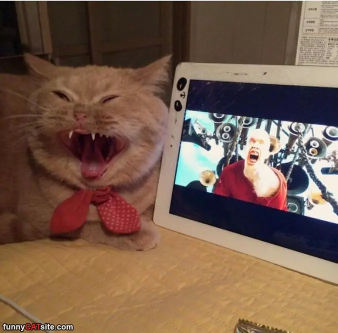 Making The Same Face