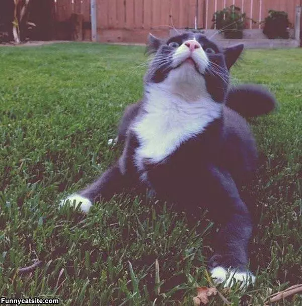 Get That Camera Out Of Here