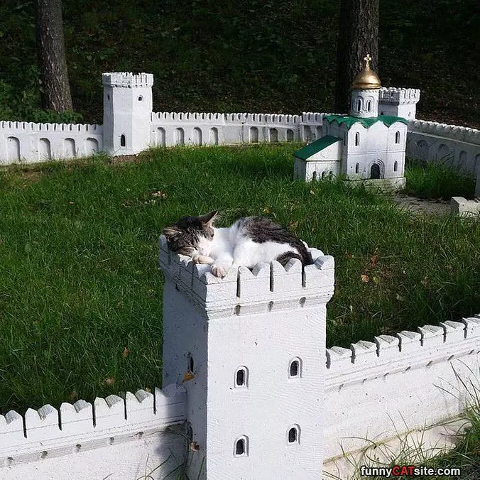 King Of My Castle