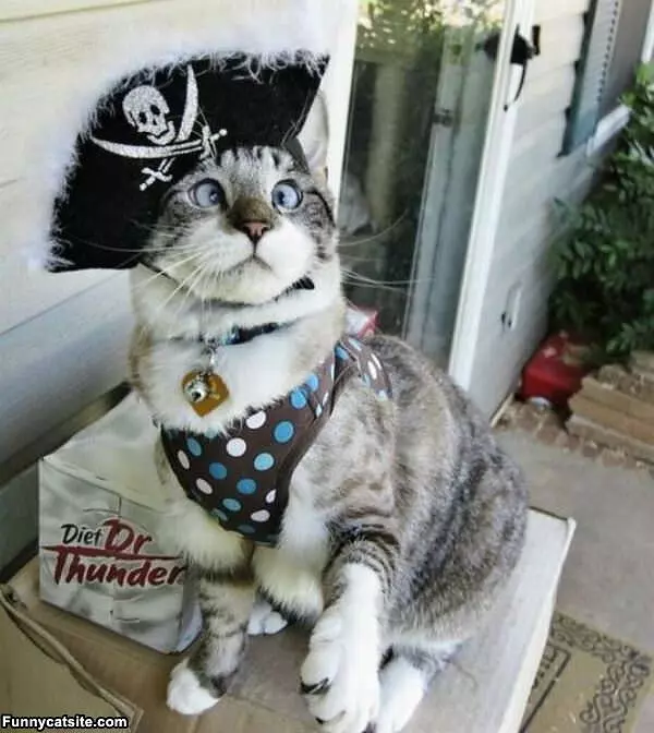 I Am A Pirate