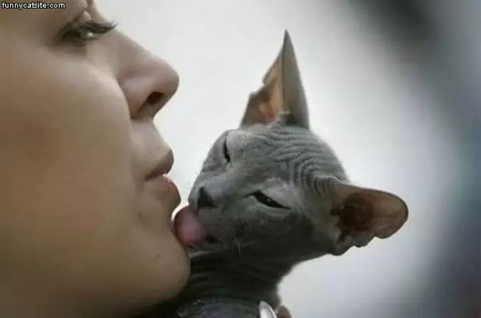Kisses
