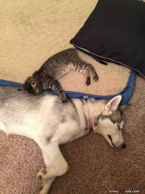 Close To My Friend