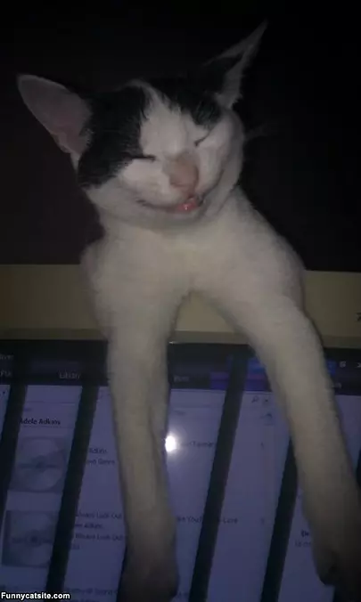 Spot Smiling