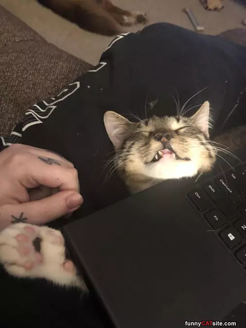 Under The Laptop